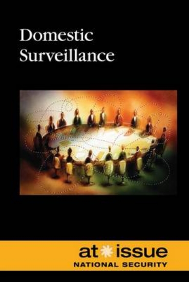 Picture of Domestic Surveillance