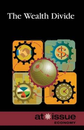 Picture of The Wealth Divide