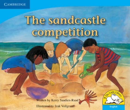 Picture of The sandcastle competition