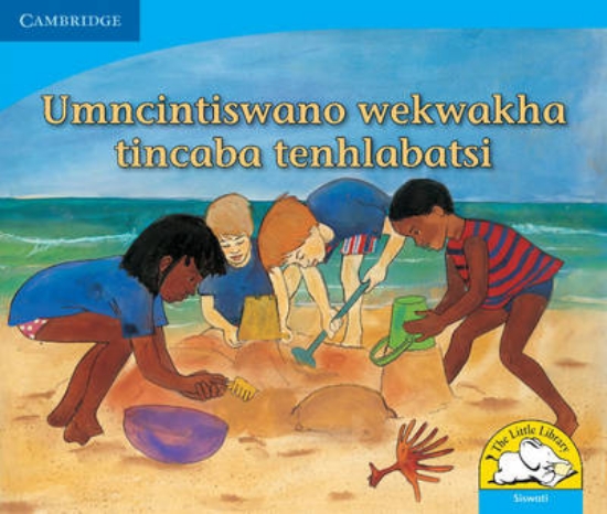 Picture of Umncintiswano wekwakha tincaba tenhlabatsi