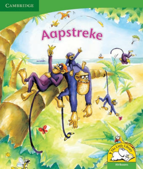 Picture of Aapstreke