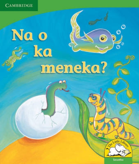 Picture of Na o ka meneka?