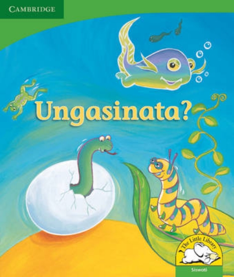 Picture of Ungasinata?