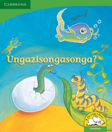 Picture of Ungazisongasonga?