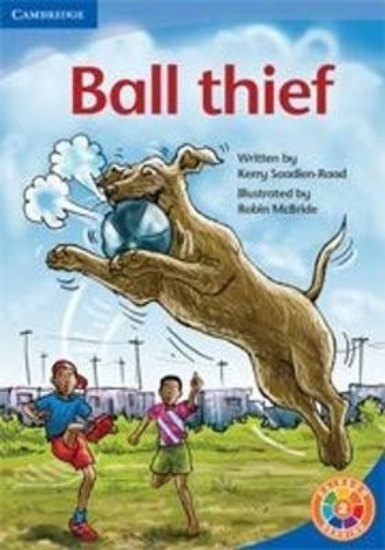 Picture of Ball Thief