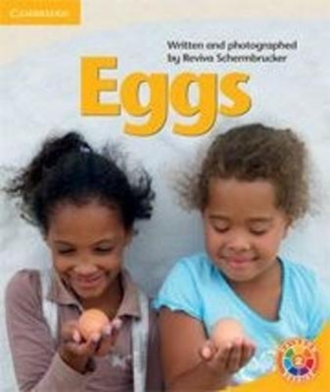 Picture of Eggs
