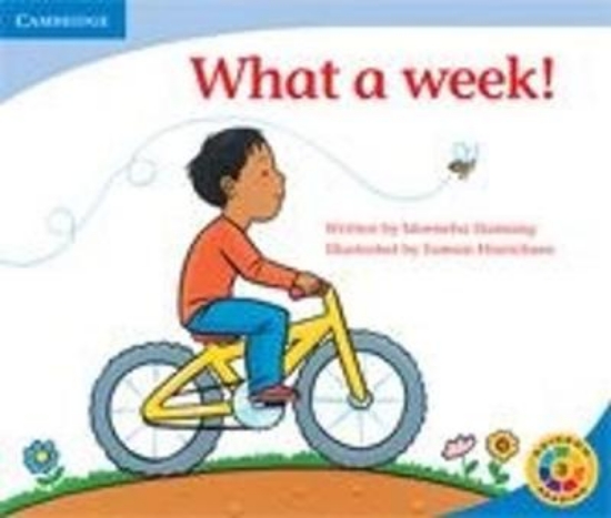 Picture of What a Week!