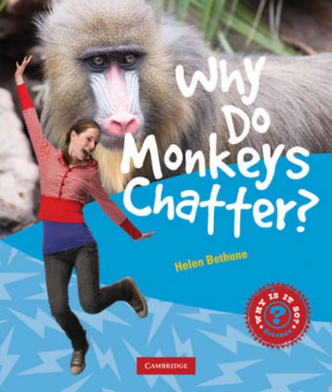 Picture of Why Do Monkeys Chatter?