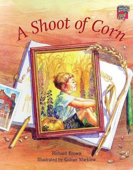 Picture of A Shoot of Corn India edition