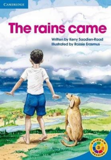 Picture of The Rains Came