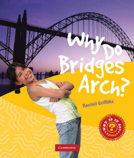 Picture of Why Do Bridges Arch?
