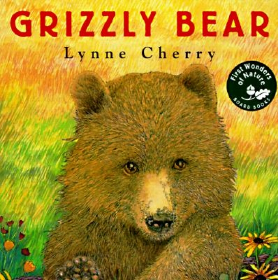 Picture of Grizzly Bear