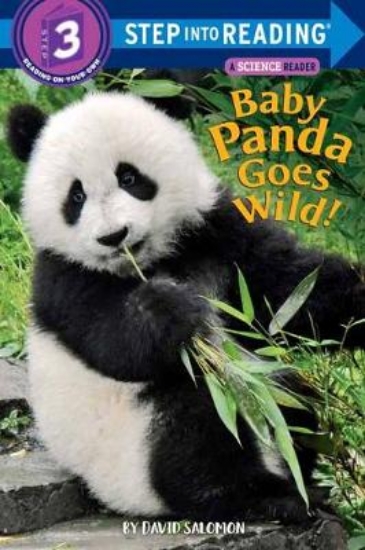 Picture of Baby Panda Goes Wild