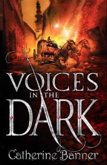Picture of Voices in the Dark