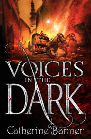 Picture of Voices in the Dark