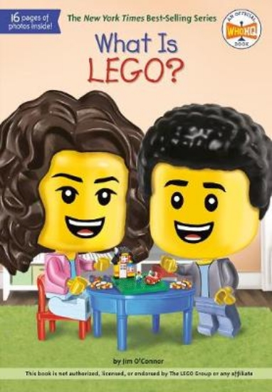 Picture of What Is LEGO