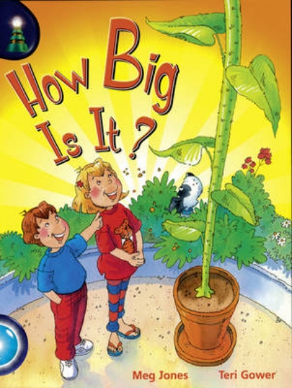 Picture of Lighthouse Yr2/P3 Turquoise: How Big Is It (6 pack