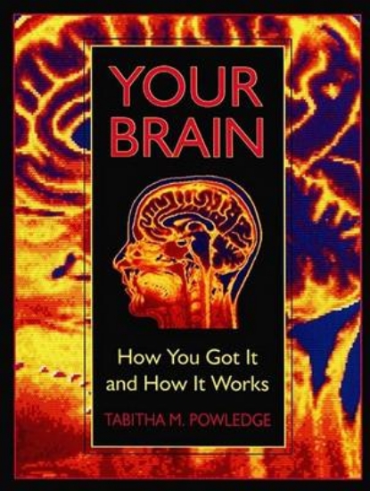 Picture of Your Brain