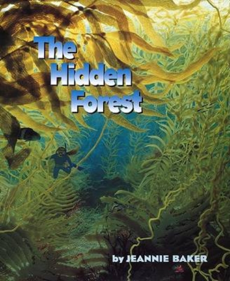 Picture of The Hidden Forest