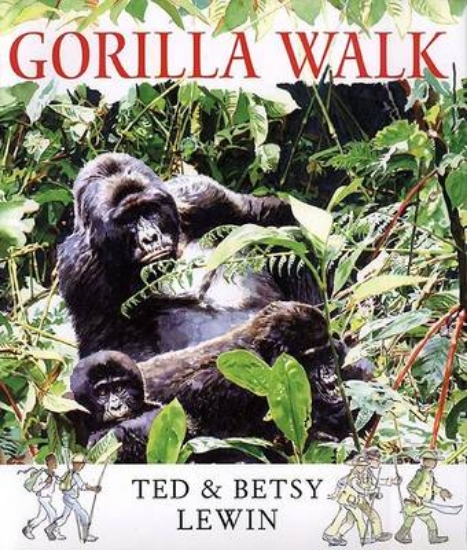 Picture of Gorilla Walk