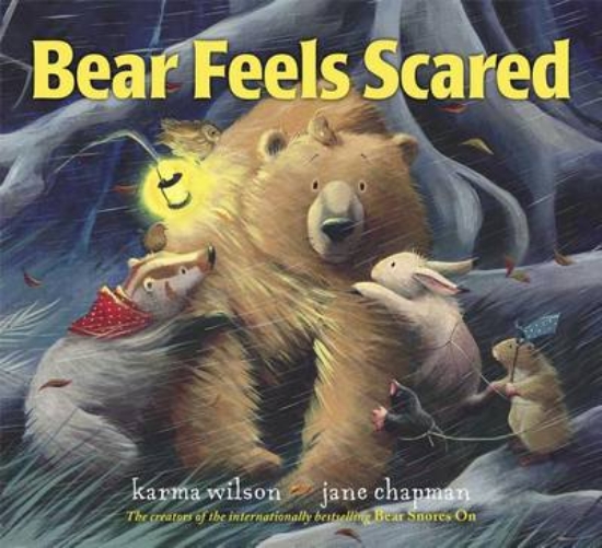 Picture of Bear Feels Scared
