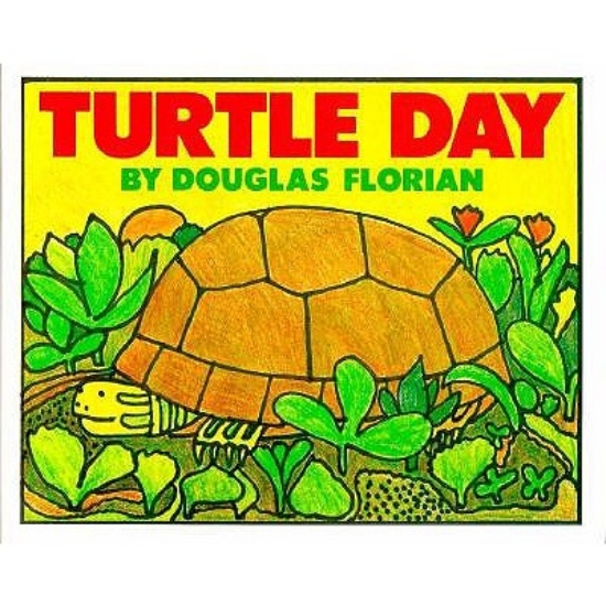 Picture of Turtle Day