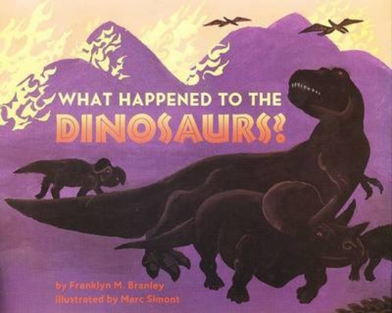 Picture of What Happened to the Dinosaurs?