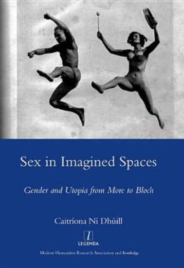 Picture of Sex in Imagined Spaces