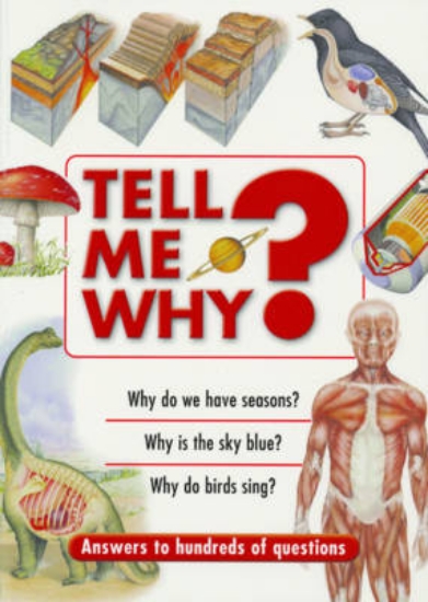 Picture of Tell Me Why?