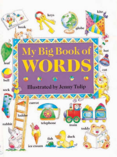 Picture of My Big Book of Words