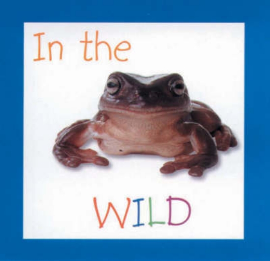 Picture of The World Outside