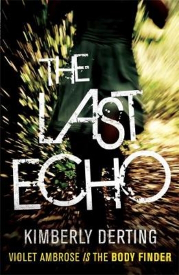 Picture of The Last Echo