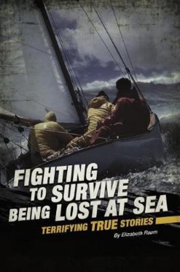 Picture of Being Lost at Sea