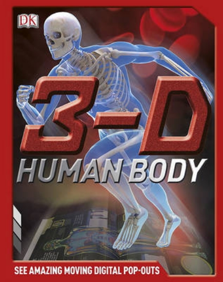 Picture of 3-D Human Body