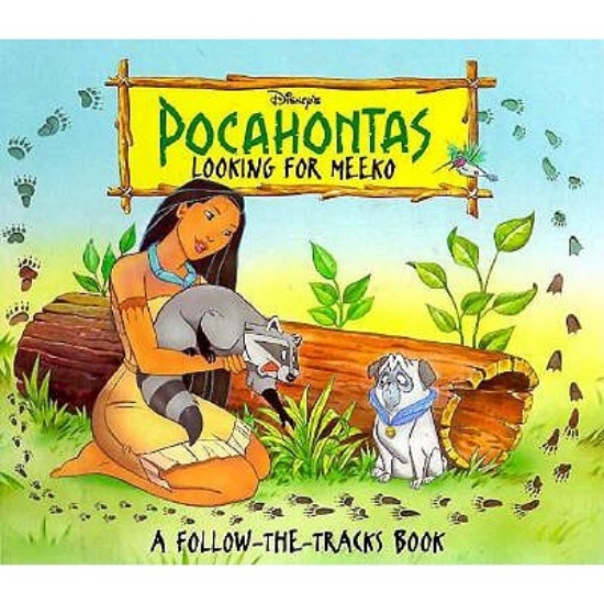 Picture of Looking for Meeko