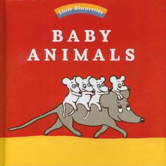 Picture of Baby Animals: Little Discoveries
