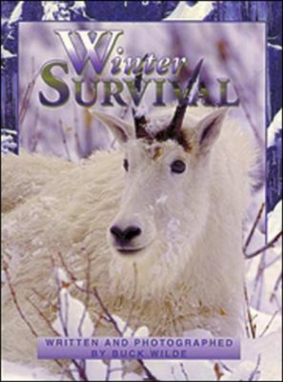 Picture of Winter Survival: Wild and Wonderful