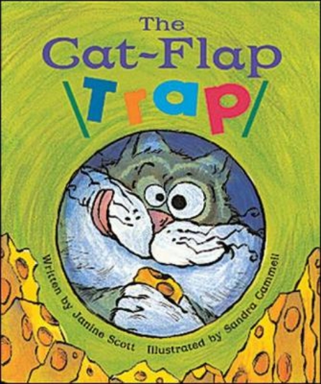 Picture of The Cat-Flap Trap (Level 15)