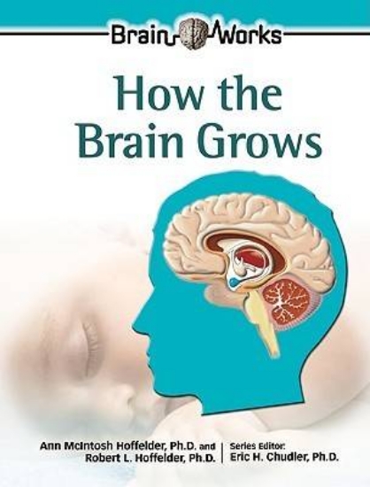 Picture of How the Brain Grows