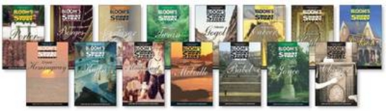 Picture of Bloom's Major Short Story Writers Set
