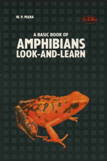 Picture of Amphibians
