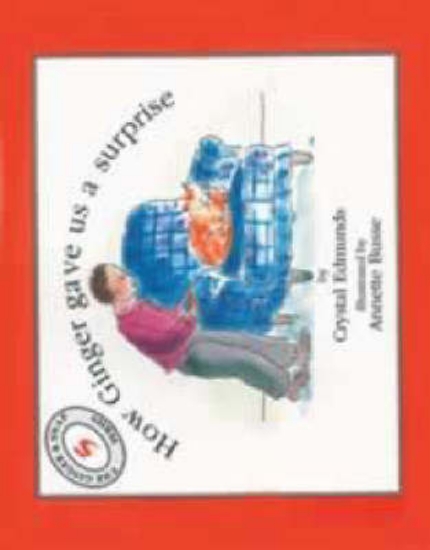 Picture of Elephant Books Ginger & Snap Series: How Ginger Ga