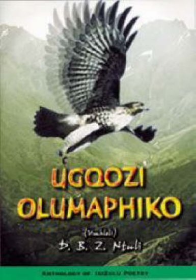 Picture of Ugqozi Olumaphiko