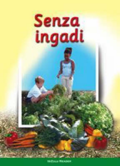 Picture of We Make A Garden: (Zulu) Senza Ingadi