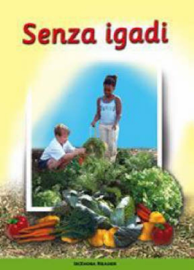 Picture of We Make A Garden: (Xhosa) Senza Igadi