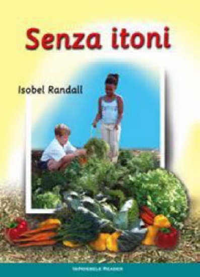 Picture of We Make A Garden: (Ndebele) Senza Itoni