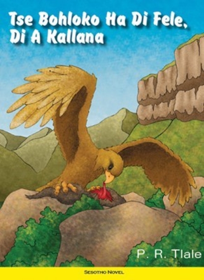 Picture of Tse Bohloko Ha Di Fele, Di A Kallana
