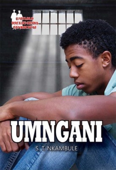 Picture of Umngani Fal (School Edition)