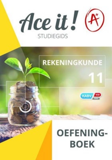 Picture of Ace It! Accounting Grade 11 Exercise Book (Afrik)