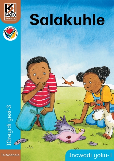 Picture of Kagiso Readers, Grade 3, Book 1: Salakuhle (Big Bo